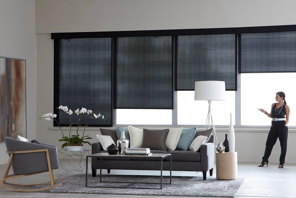 Roller Shades - Image 8