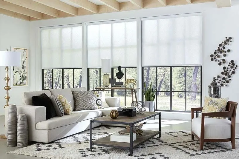 Roller Shades - Image 6