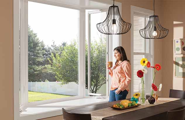 Window Replacement Los Angeles image