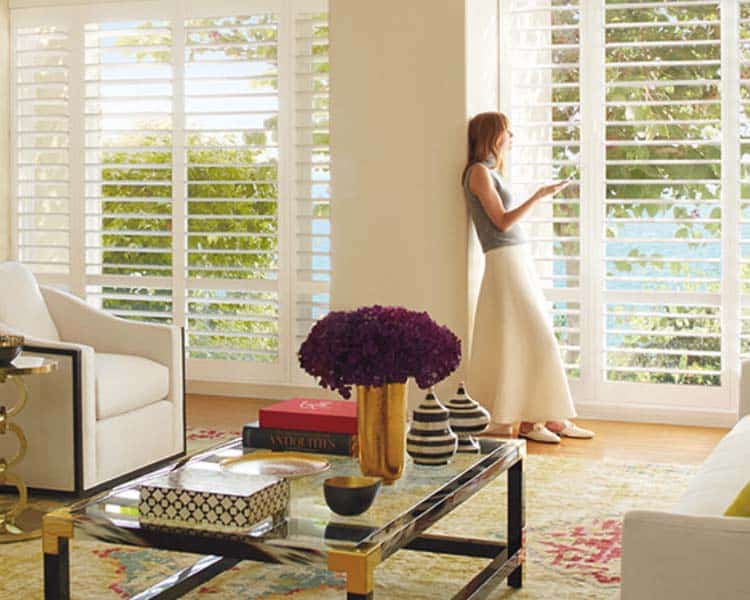 Home Automation Window Design Group